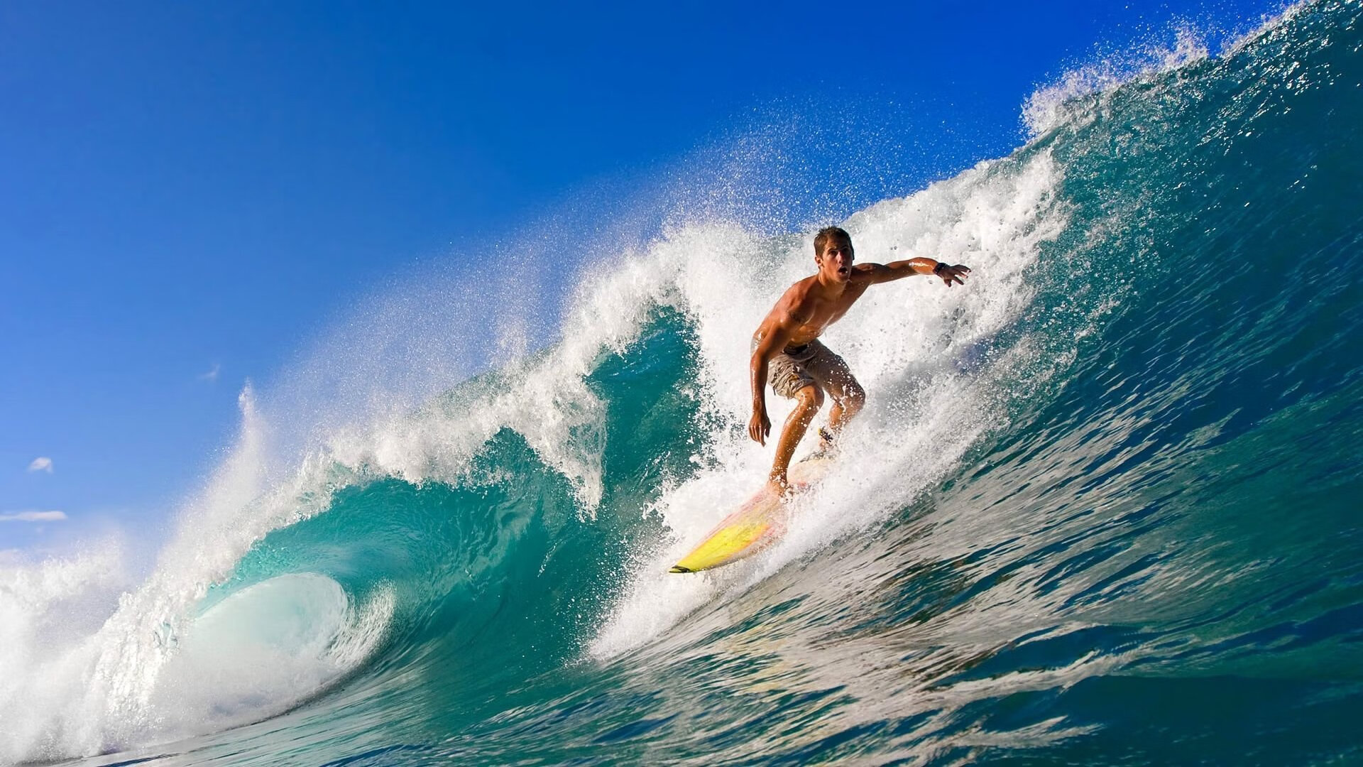 德甲关注青少年成长,推动青训生态系统完善,德甲青训体系