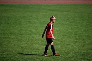 开云中国大陆-勇士训练时长延长球员投入度高，勇士训练短袖